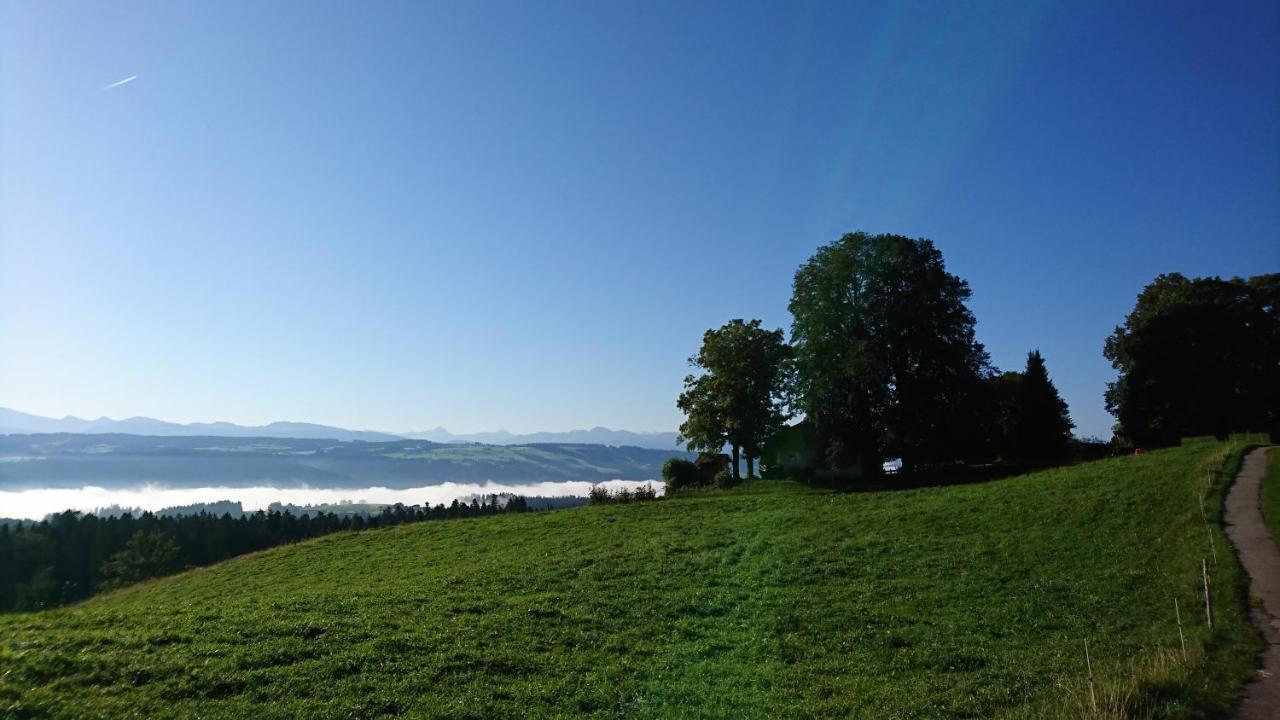 Kuhnest Apartment Scheidegg Luaran gambar